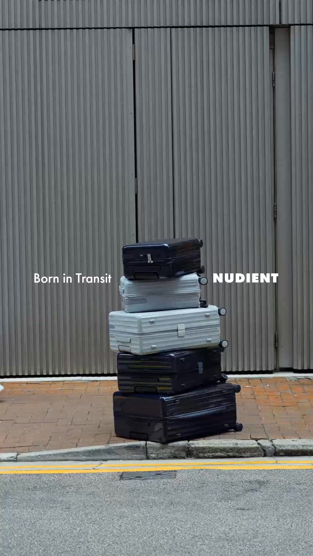 Discover Bold Luggage