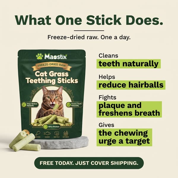 Free Today!