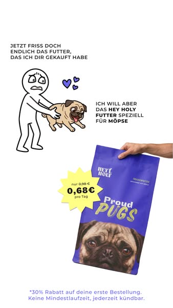 30% auf Proud Pugs
