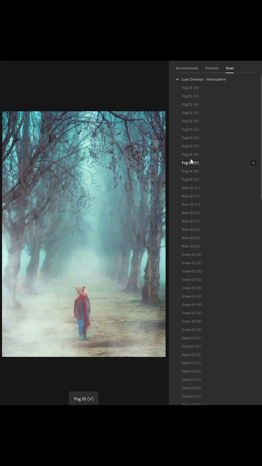 Luxe Overlay Lightroom Presets