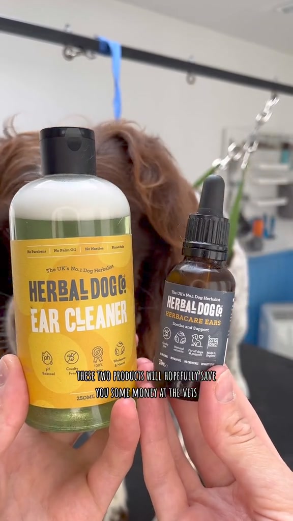 Soothe Itchy Dog Ears!