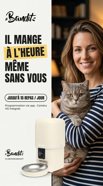 Le distributeur que votre chat mérite