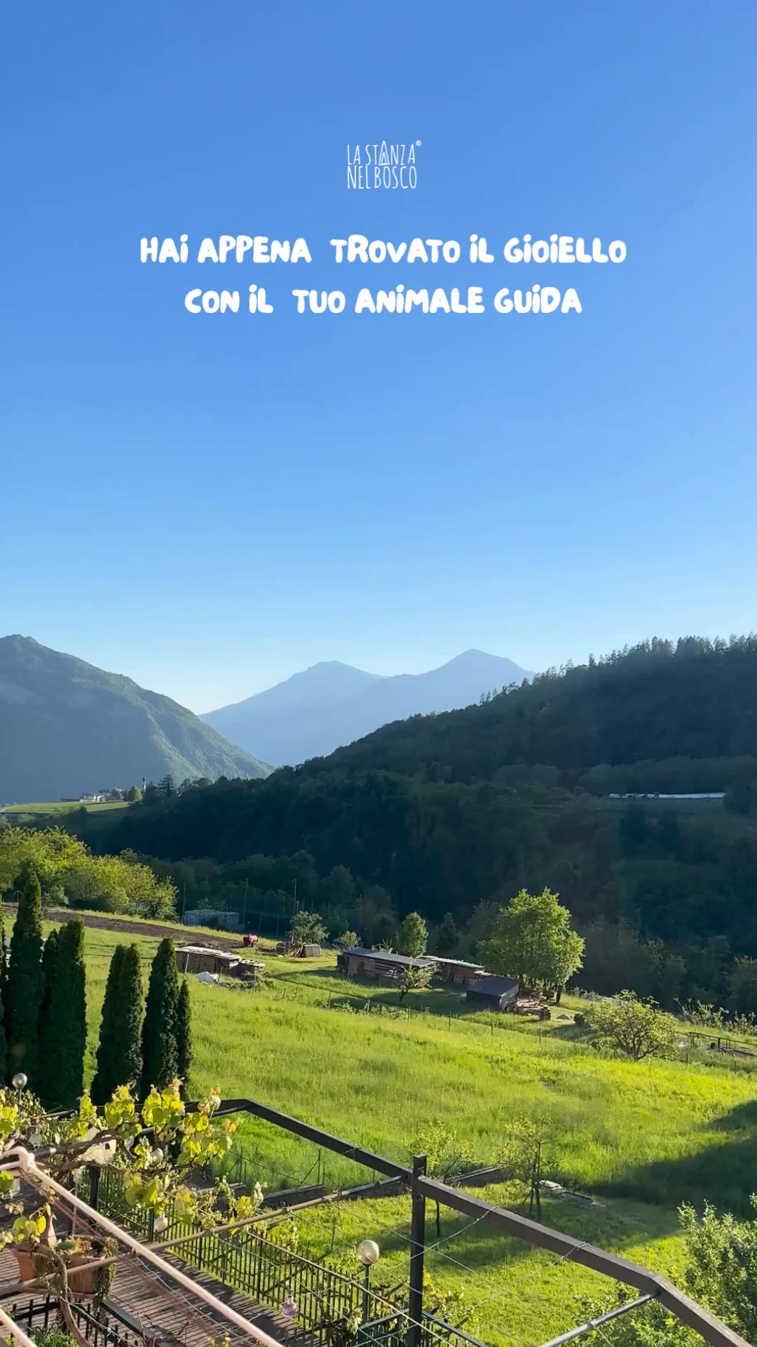 Scopri la collezione