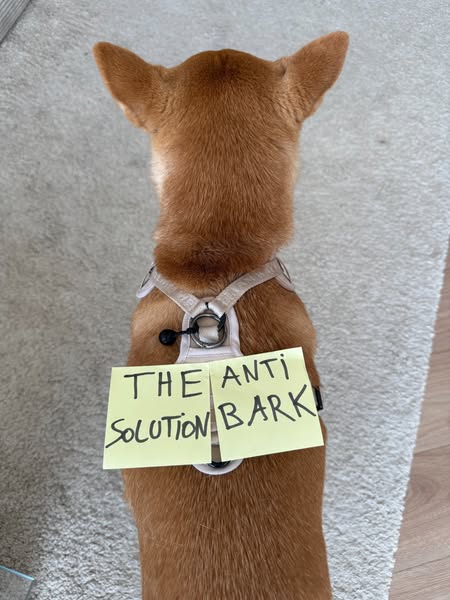 84% of owners: less barking