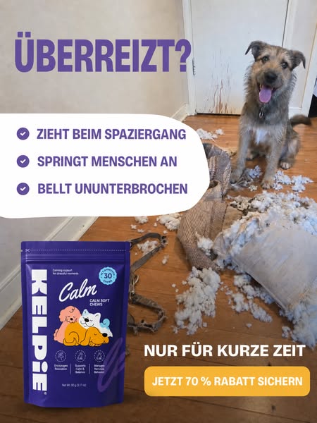 70 % RABATT + KOSTENLOSER Versand