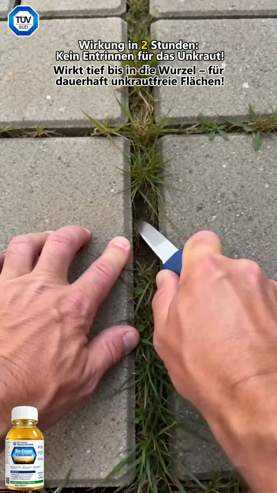 Effektive Gartenpflege leicht gemacht