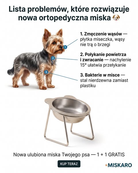 To miska, nie jedzenie.