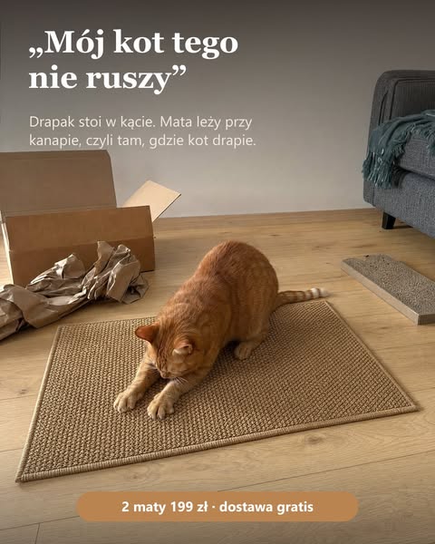 Kot drapie. Kanapa cała.