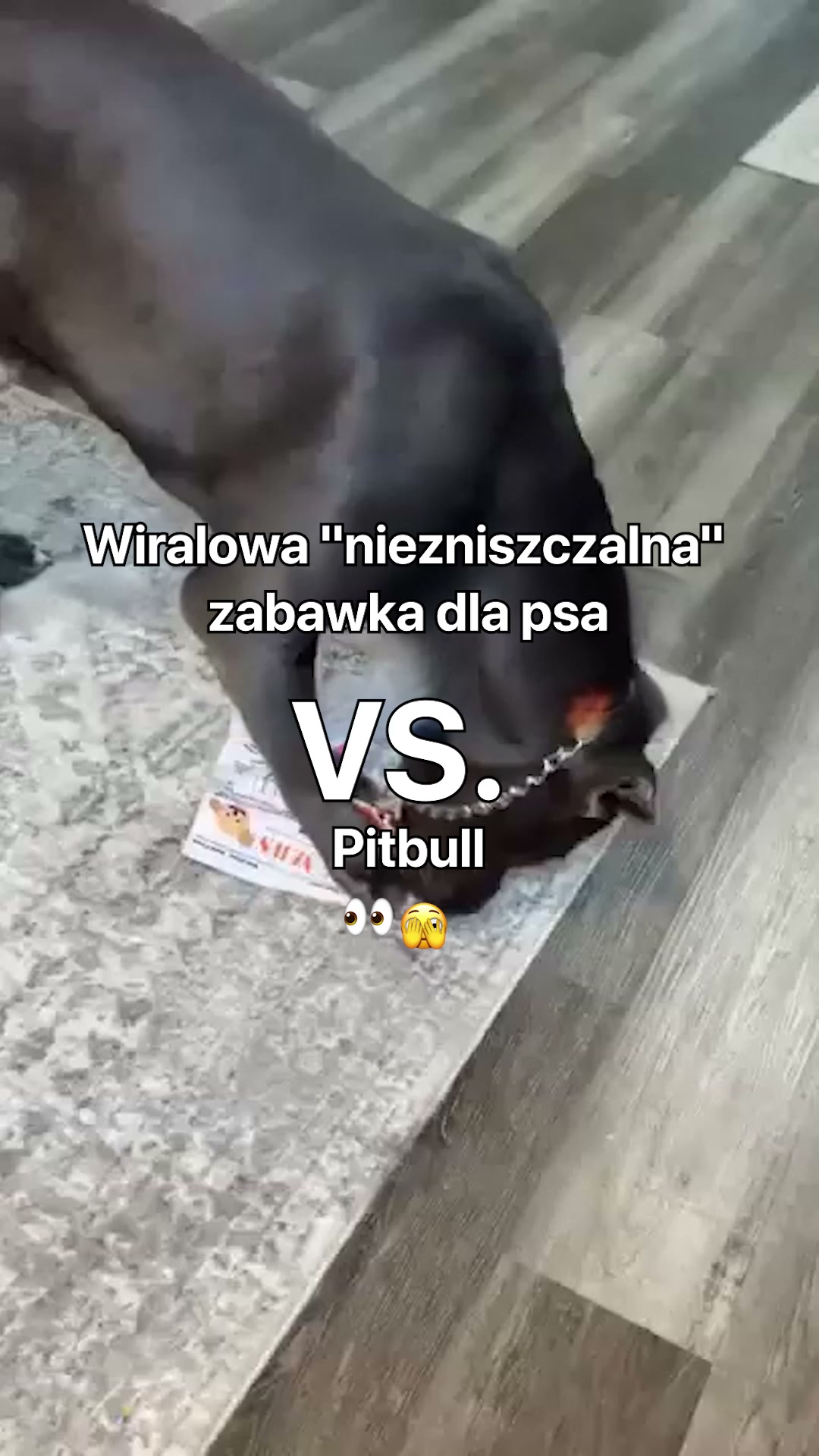 #1 Szeleszczak
