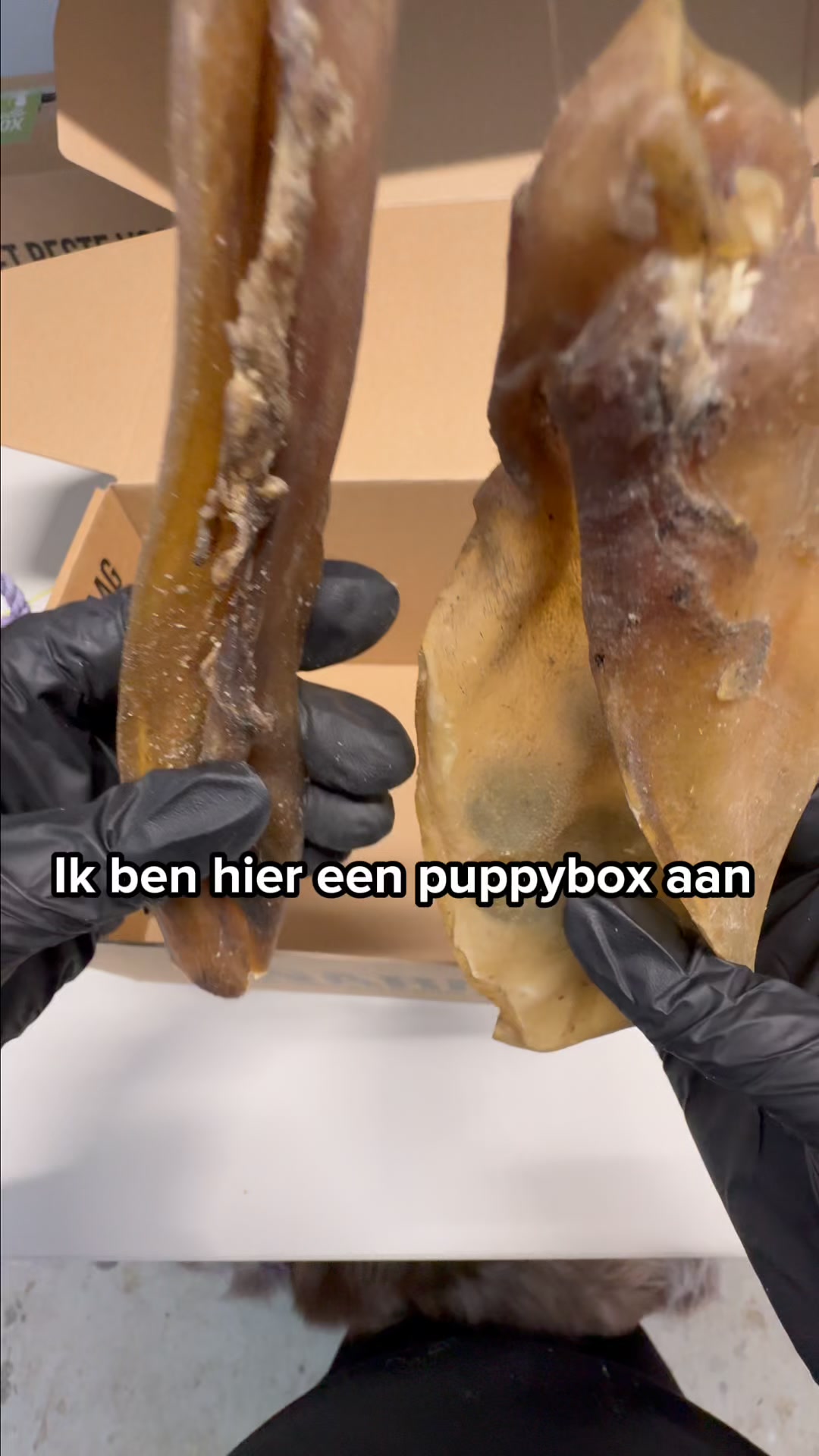 Anúncio de Bellobox