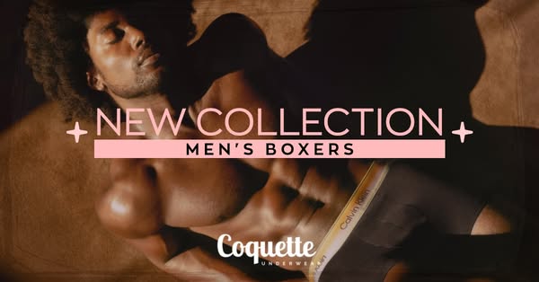 Explore the New Collection