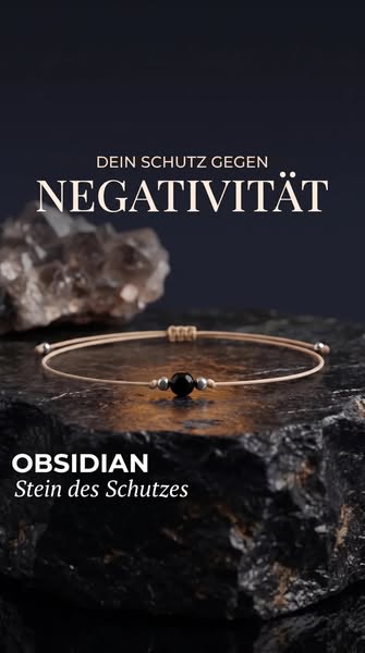 Entdecke deinen neuen Begleiter
