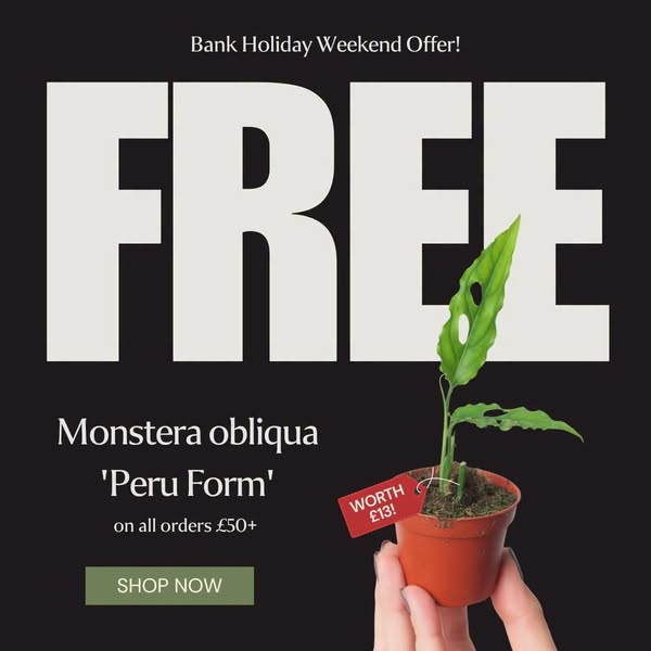 Your Bank Holiday Weekend just got even better!