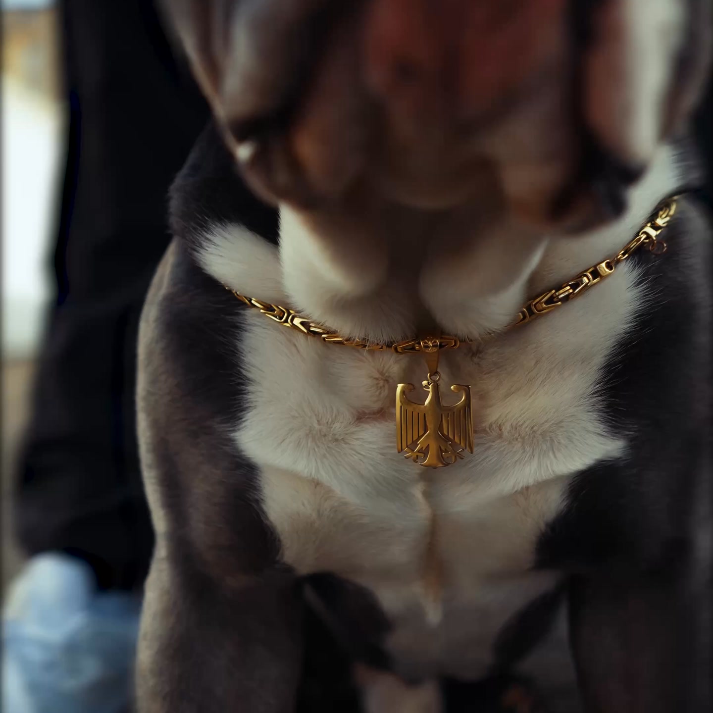 Dein neues Statement Piece