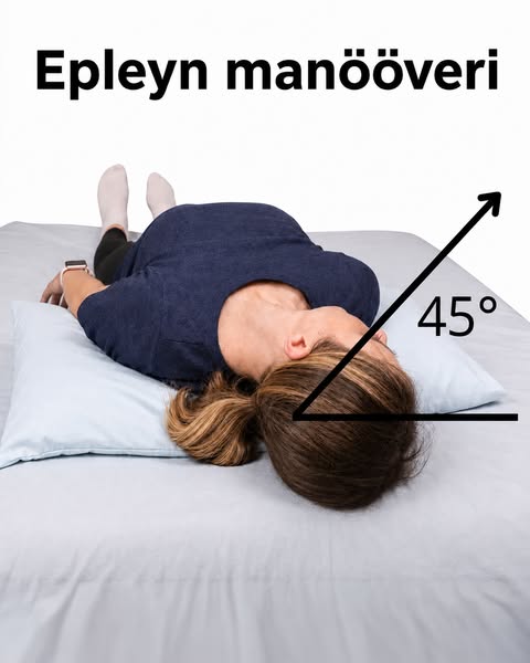 Danevo NiskaRauha™