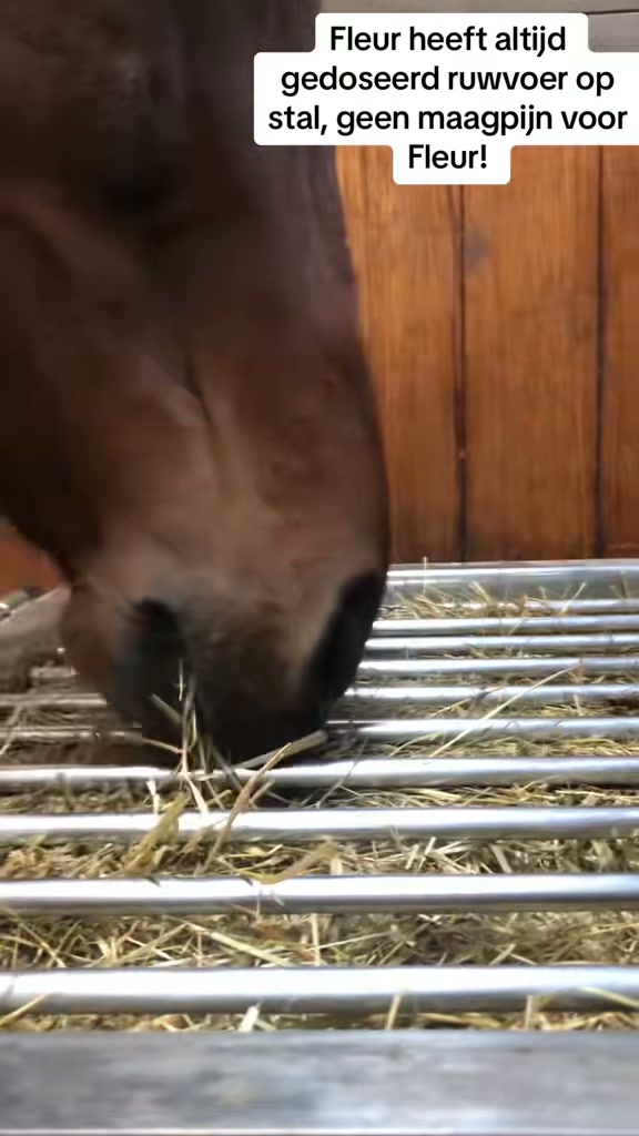 Een natuurlijk eetritme voor je paard