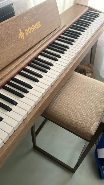 Piano Numérique