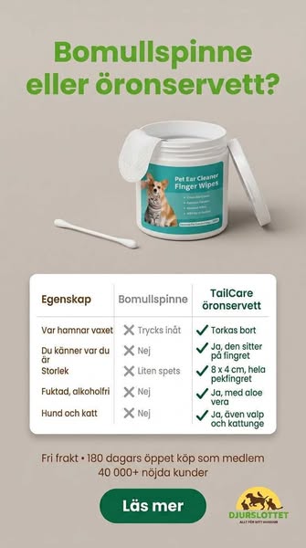Bomullspinne eller öronservett
