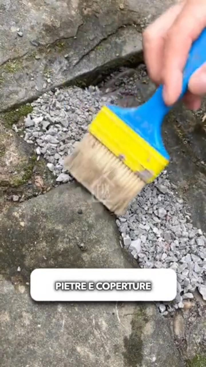 Prodotto del giorno