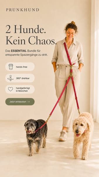 neue Lieblingsleine gesucht?
