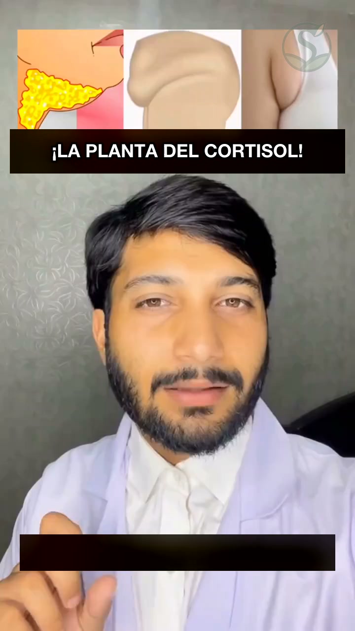 Moringa Pura: más ligera, pagas al recibir