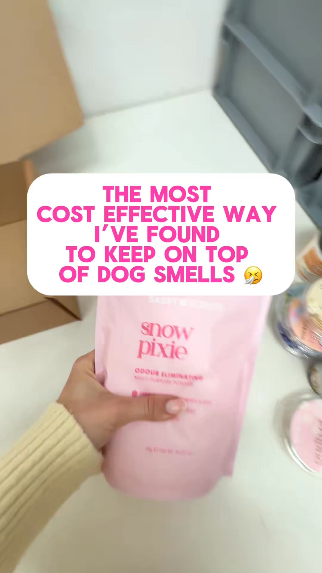 My secret to a dog-free-smelling house