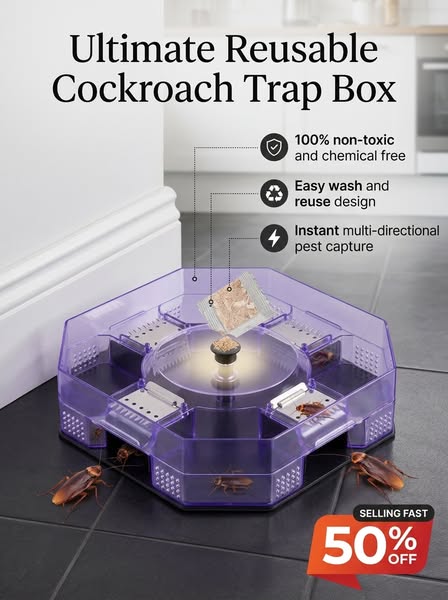 Cockroach Trap Box