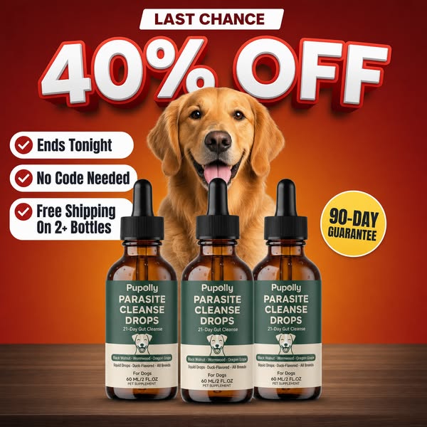 Buy 2, Get 1 FREE Today