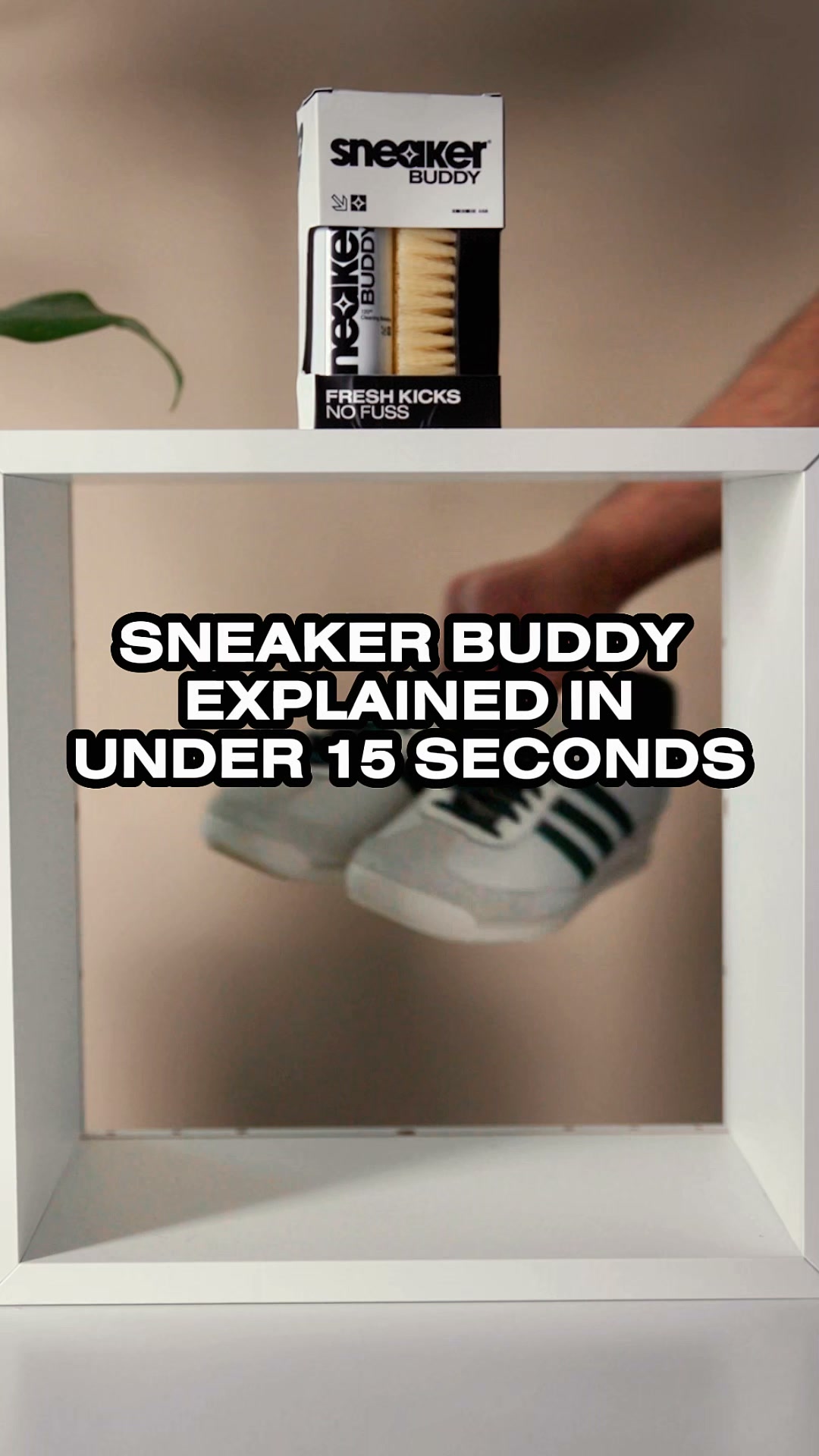 Box-Fresh In 5 Minutes