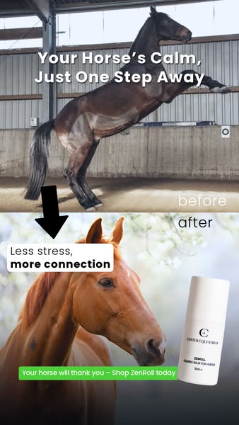 A calmer horse, a better ride