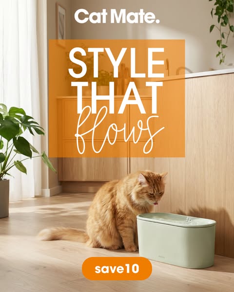Get 10% Off Fountains Today! Use Code SAVE 10