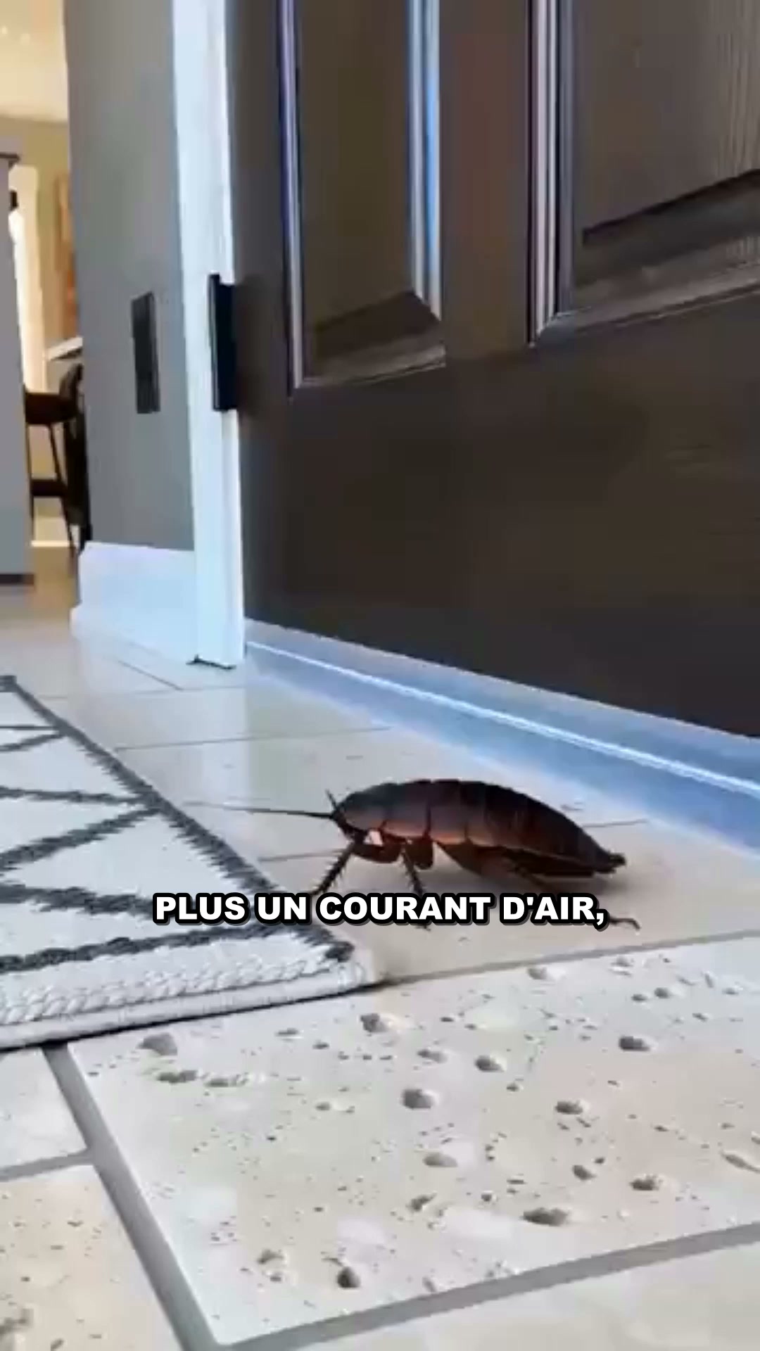 30 jours pour l'essayer chez toi.