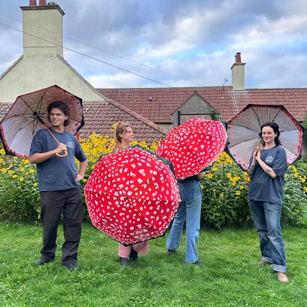 Fungarium Umbrellas