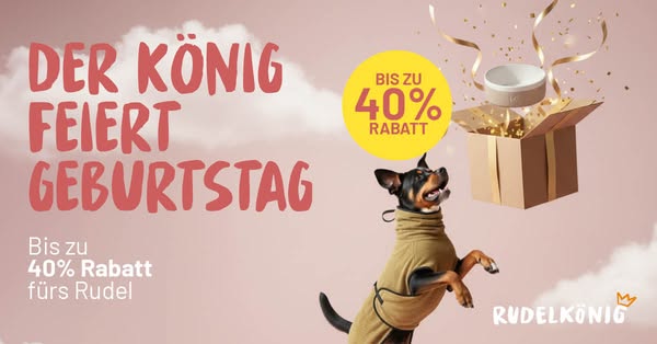 Bis zu 40% Rabatt im Birthday Sale!