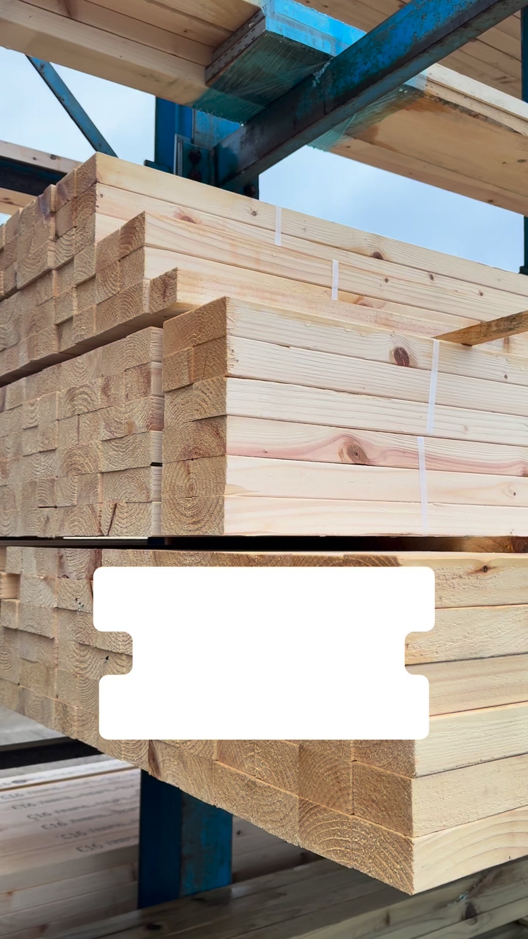Timber Experts