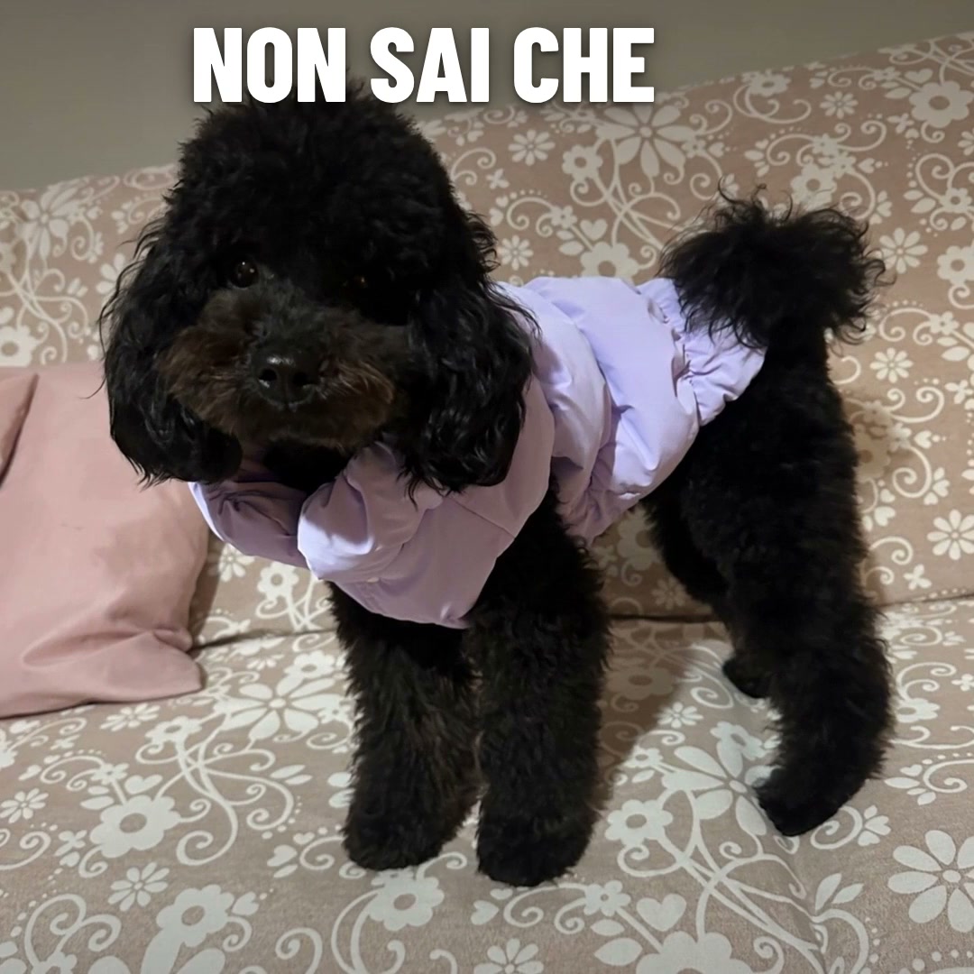 Ti basta il suo peso.