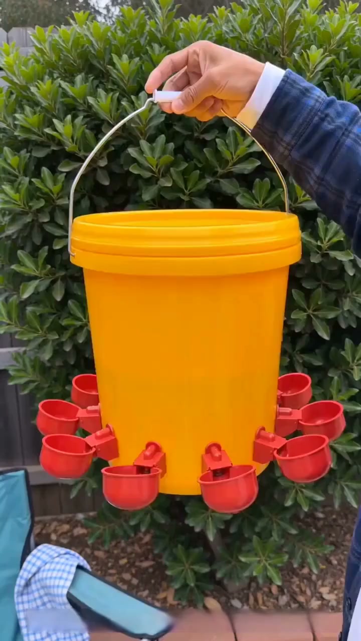 Anúncio de Goodsgoo