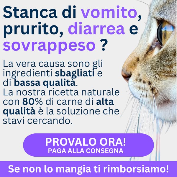 Paga anche alla consegna
