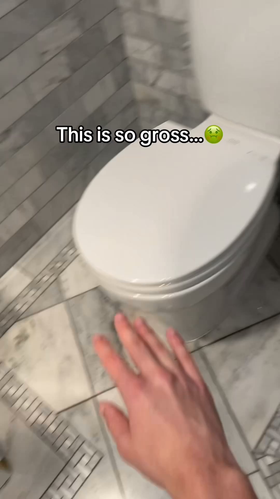 (Rated 4.9/5)