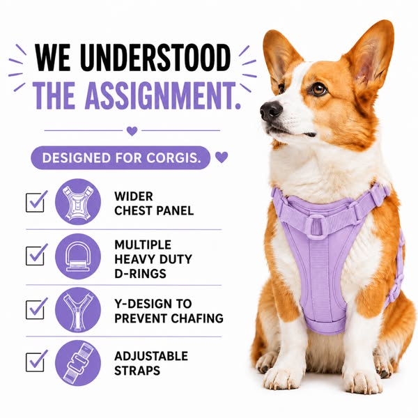 Built for Corgis