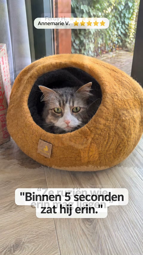 Echte ervaringen van kattenbaasjes