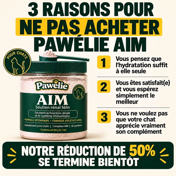 PAWÉLIE Profitez de 50 % de réduction + livraison gratuite ! Rejoignez plus de 50 000 propriétaires de chats dont les compagnons viv