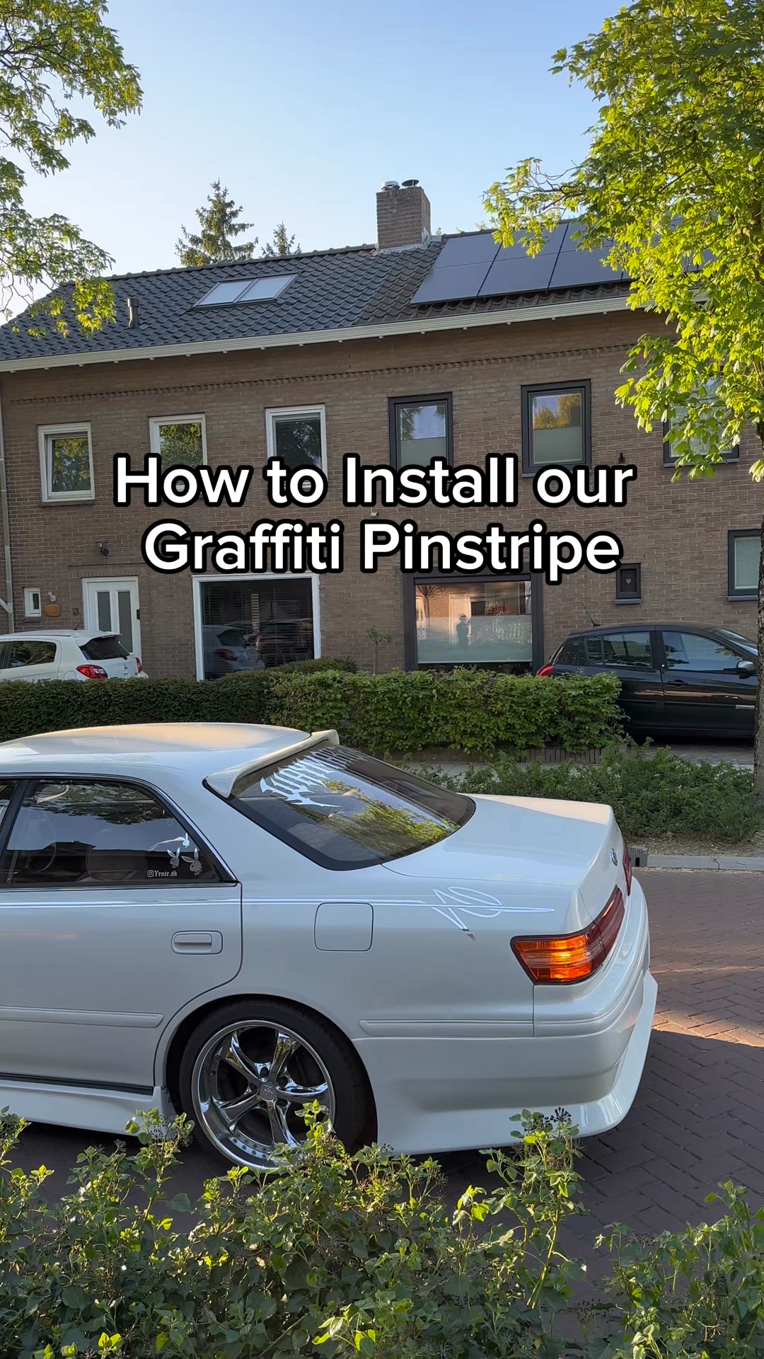 Graffiti Pinstripe