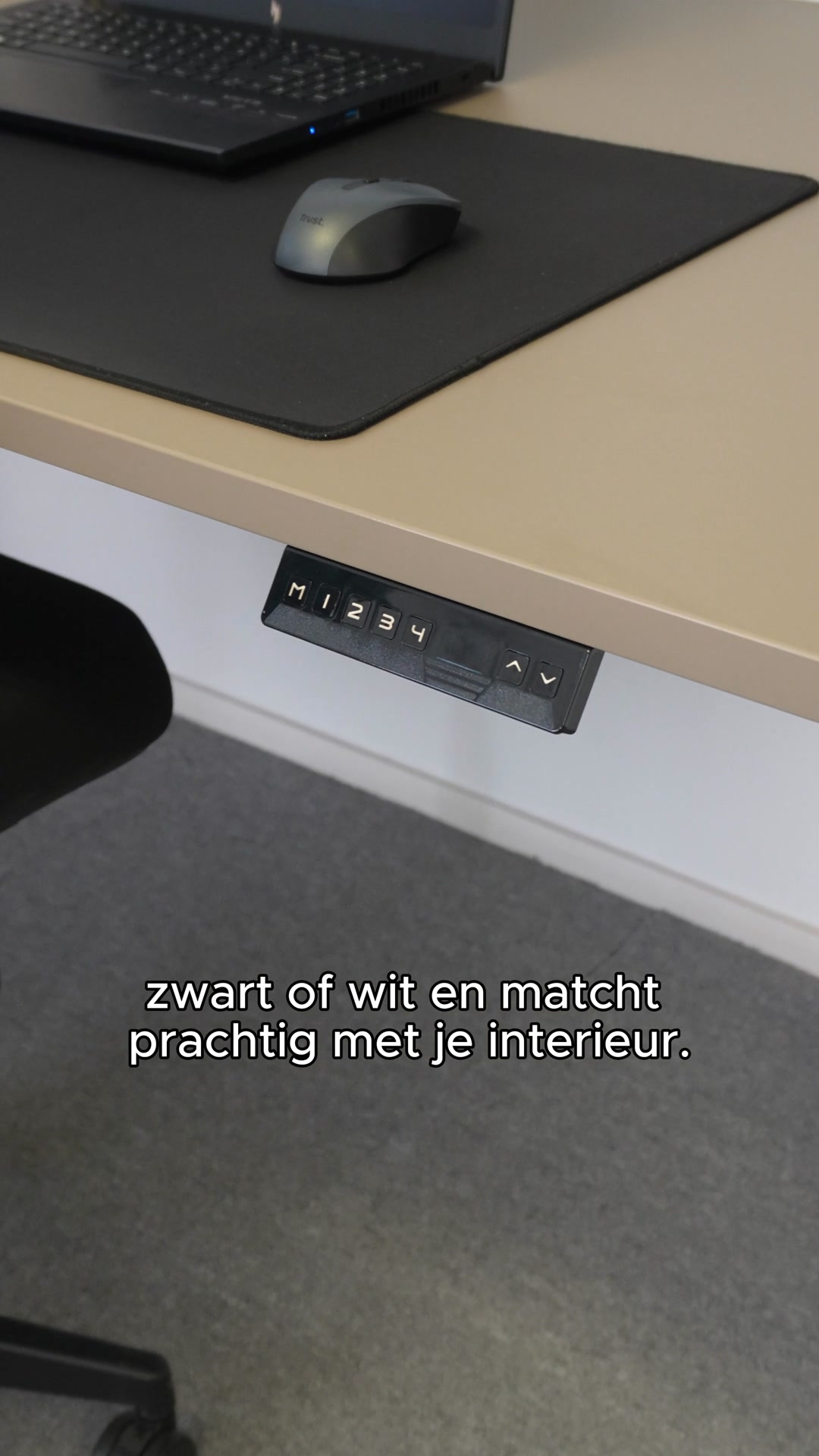 Zit-sta bureau Rosa