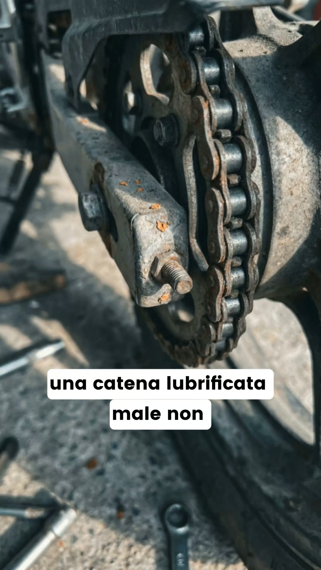 MANUTENZIONE CATENA PERFETTA