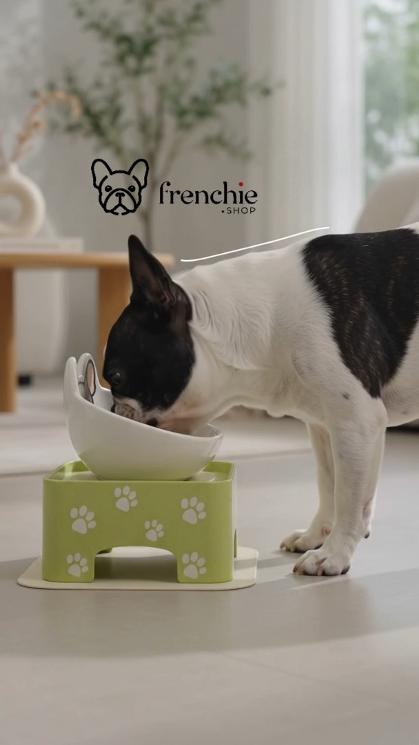 Anúncio de Frenchie Shop