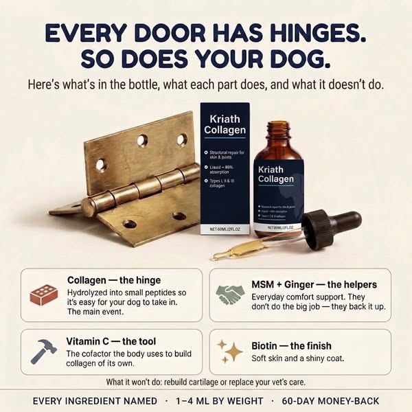 Daily Maintenance for His Hinges