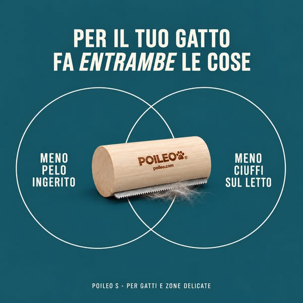 Per il gatto che perde pelo