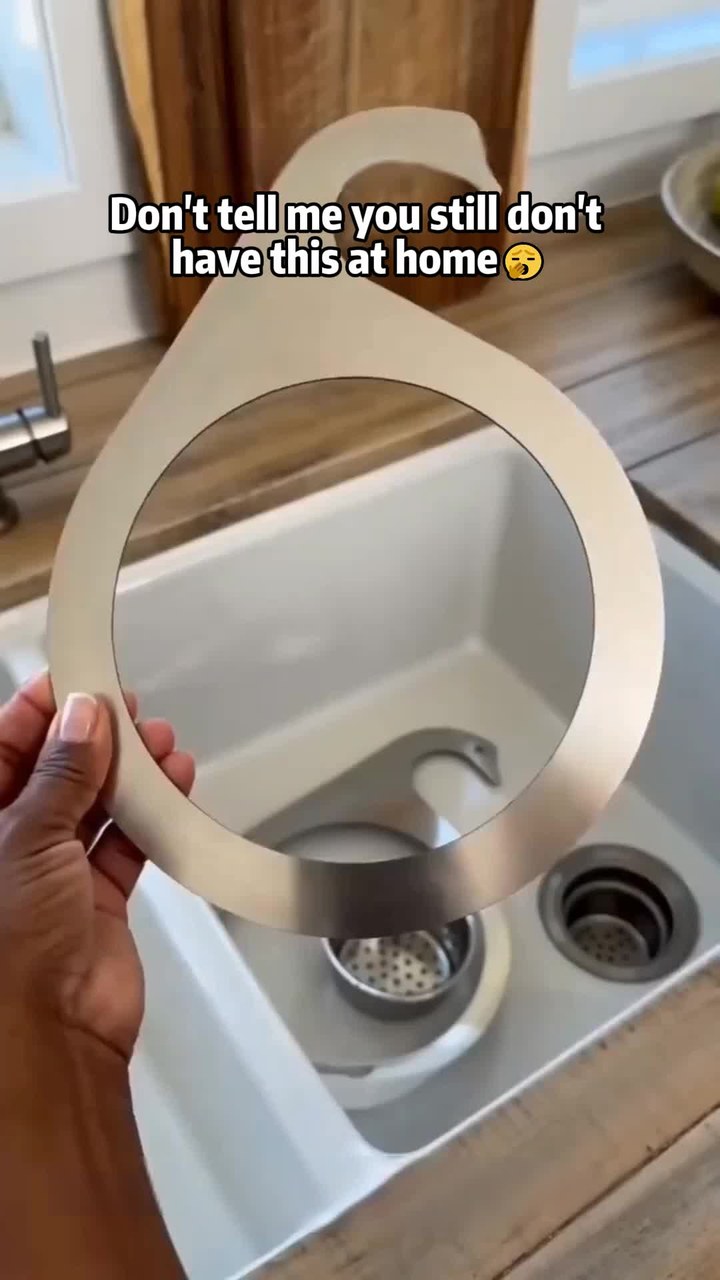 Stainless Steel Swan Sink Strainer Basket