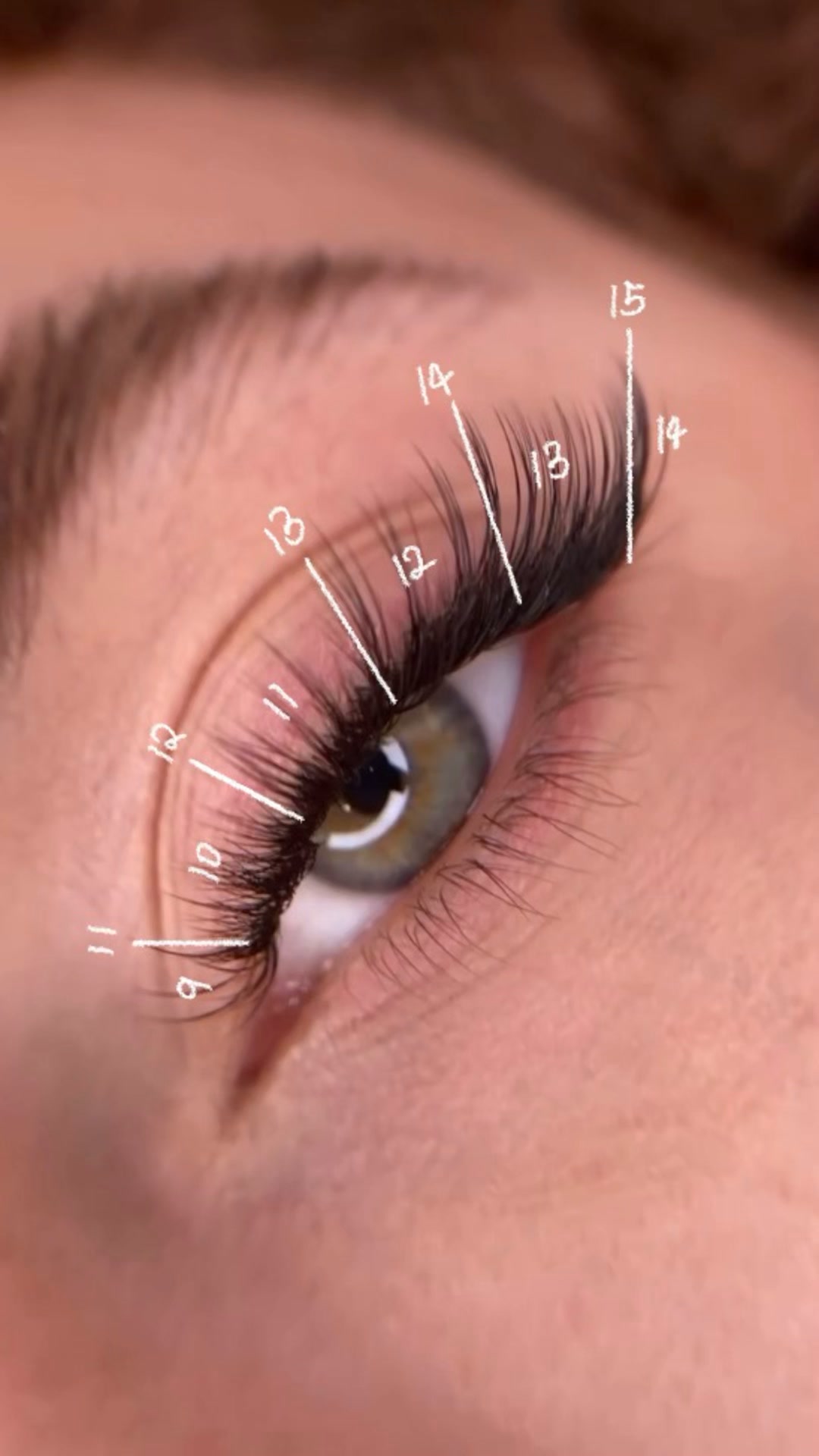 40% OFF on Promade Fans & Lash Glue – PLUS an extra 5% on top